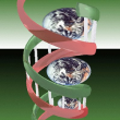 Bioinformatics Centre, Biotech Park Lucknow logo