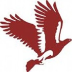 Faculty Of Management Studies (FMS) logo