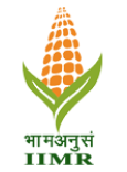 ICAR-Indian Institute of Maize Research logo