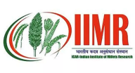 Indian Institute of Millets Research logo