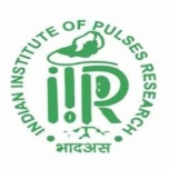 Indian Institute of Pulses Research logo
