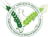 Indian Institute of Wheat and Barley Research logo