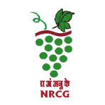 National Research Centre for Grapes logo