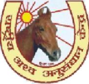 National Research Centre on Equines logo