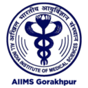 All India Institute of Medical Sciences, Gorakhpur logo