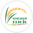 Indian Institute of Rice Research, Hyderabad logo