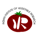Indian Institute of Vegetable Research (IIVR), Varanasi logo