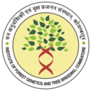 Institute of Forest Genetics and Tree Breeding logo