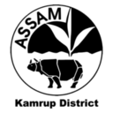 Kamrup District, Assam logo
