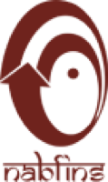 NABFINS Limited logo