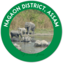 Nagaon District, Assam logo