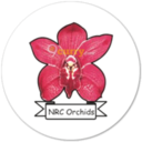 National Research Centre For Orchids, Pakyong, Sikkim logo
