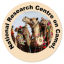 National Research Centre On Camel (ICAR-NRCC) logo