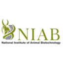 NIAB - National Institute of Animal Biotechnology, Hyderabad. logo